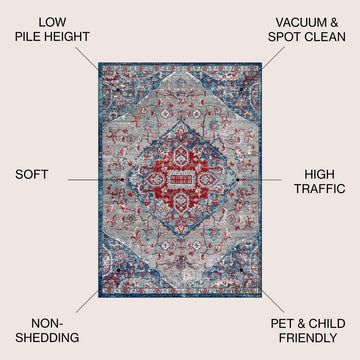 Friv modern Persian Vintage Medallion Area Rug